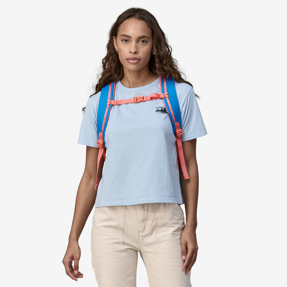 Patagonia Refugio Daypack 26L - Vessel Blue