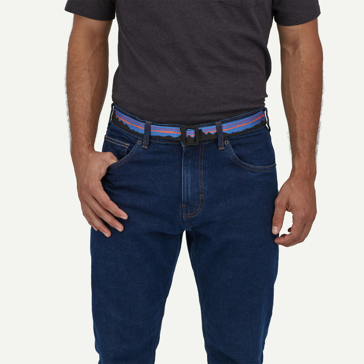 Patagonia Friction Belt