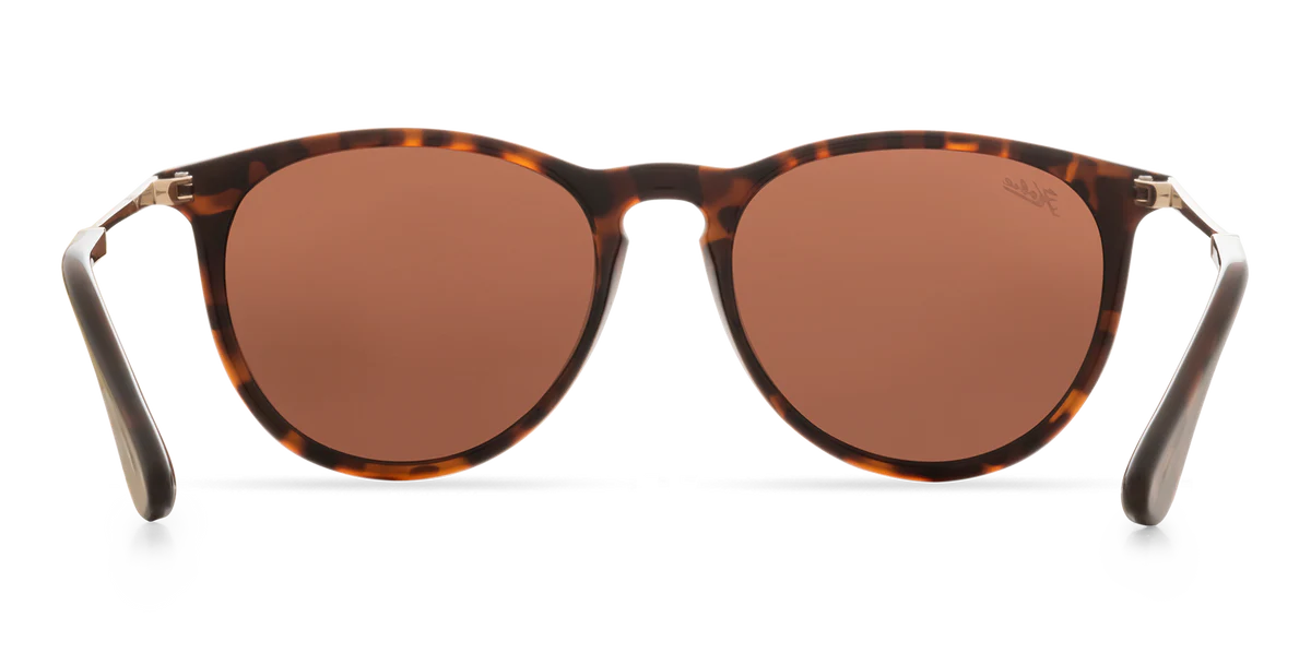 Hobie Maywood Sunglasses - Shiny Tortoise / Gold / Copper