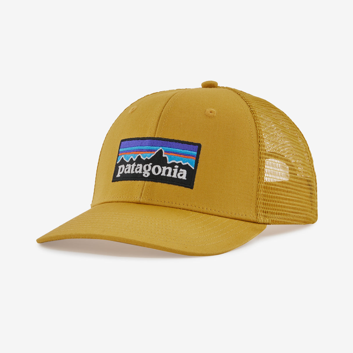 Patagonia P-6 LoPro Trucker Hat